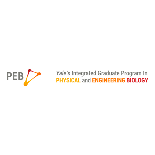 Yale University – Integrated Graduate Program in Physical and Engineering Biology logo